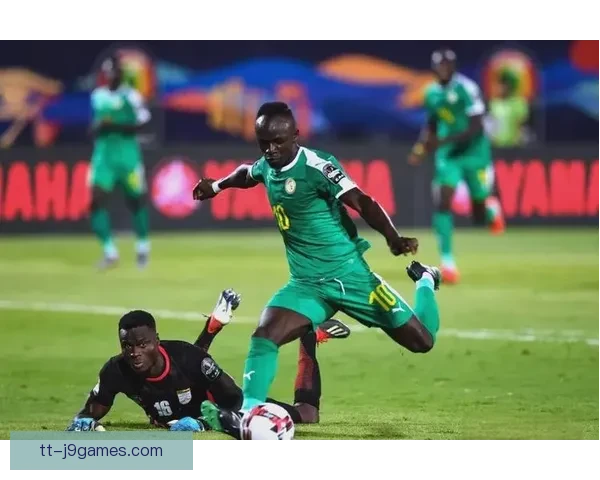 塞内加尔历史性晋级世界杯十六强激发非洲足球热潮